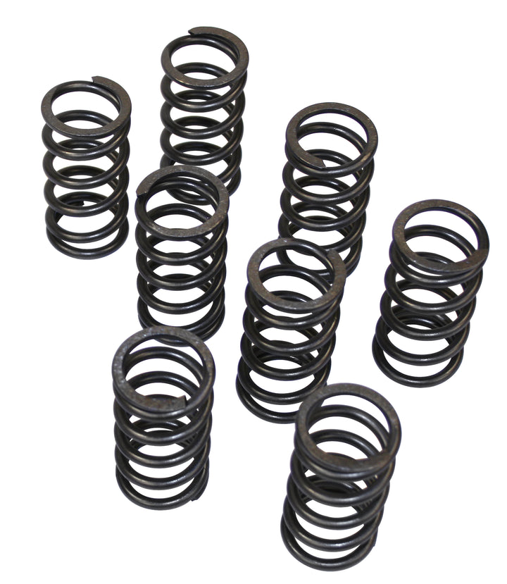 Empi High Performance VW Valve Springs  - Air Cooled Vintage Works