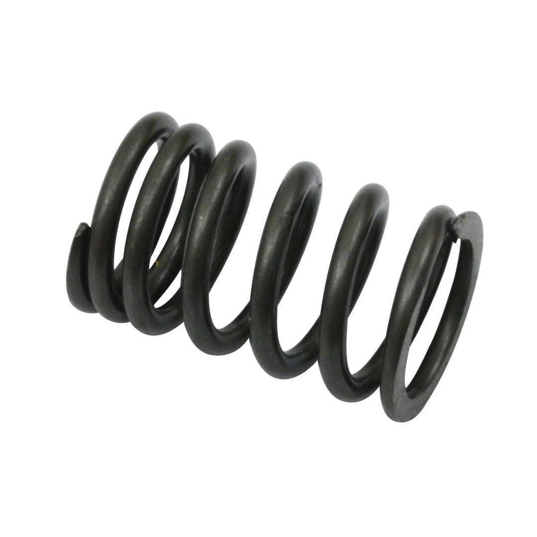 Empi Stock Replacement VW Valve Springs - Air Cooled Vintage Works