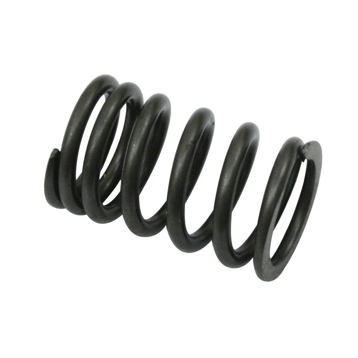 Empi Stock Replacement VW Valve Springs - Air Cooled Vintage Works