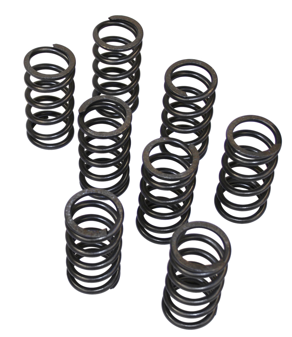 Empi High Performance VW Valve Springs  - Air Cooled Vintage Works