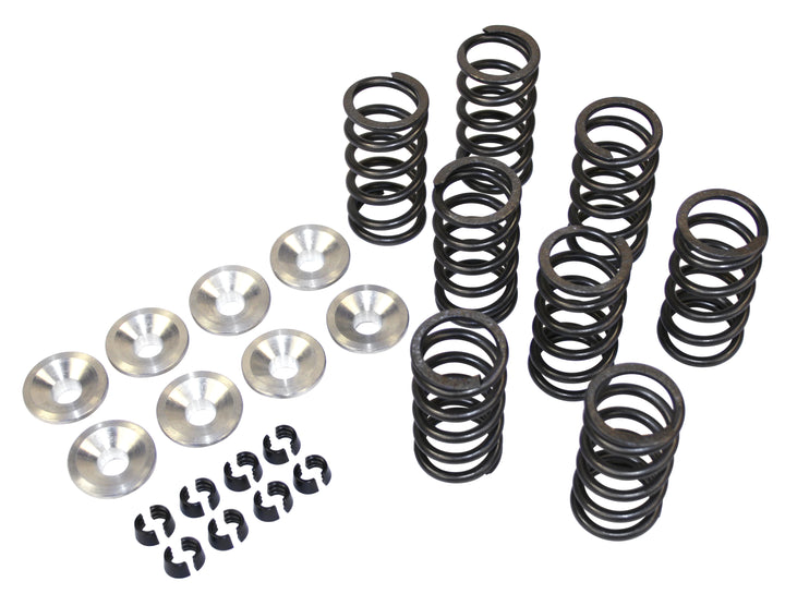 Empi High Rev VW Valve Spring Kit  - Air Cooled Vintage Works